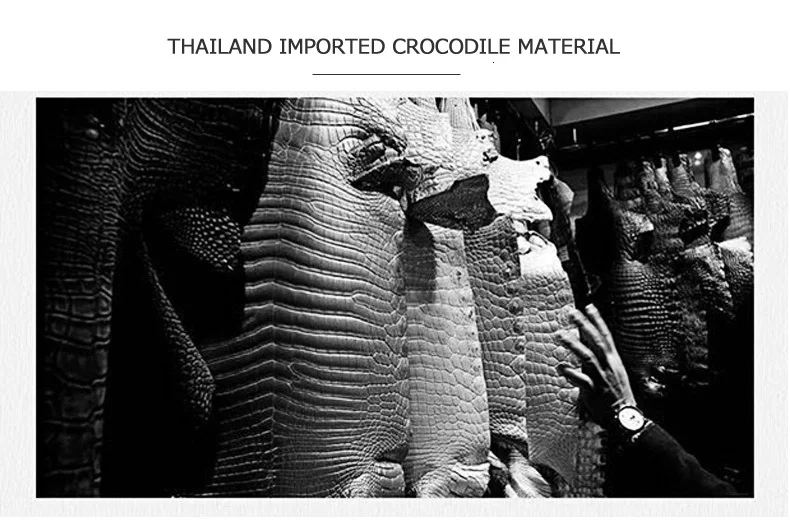 4482557615_1903357852