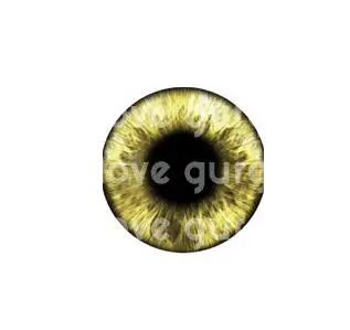 QQ截图20190617120747