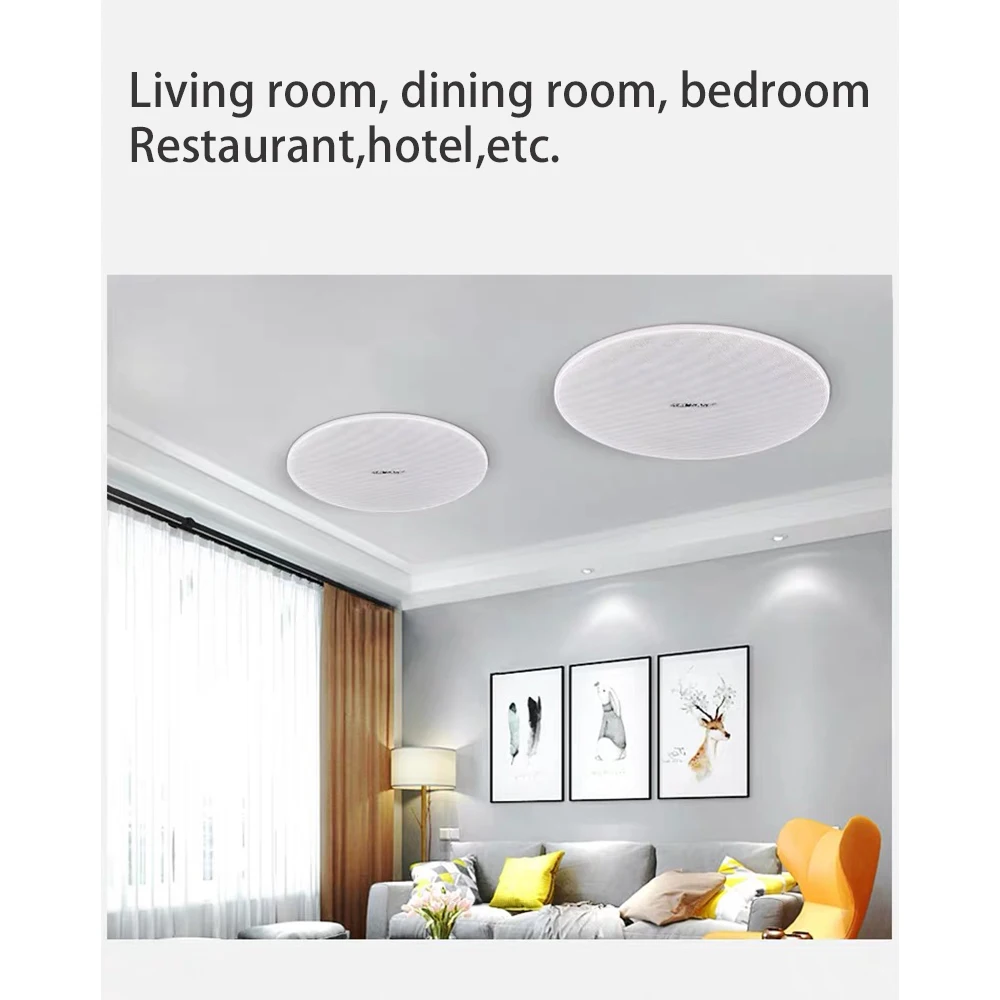 bluetooth ceiling speaker 8