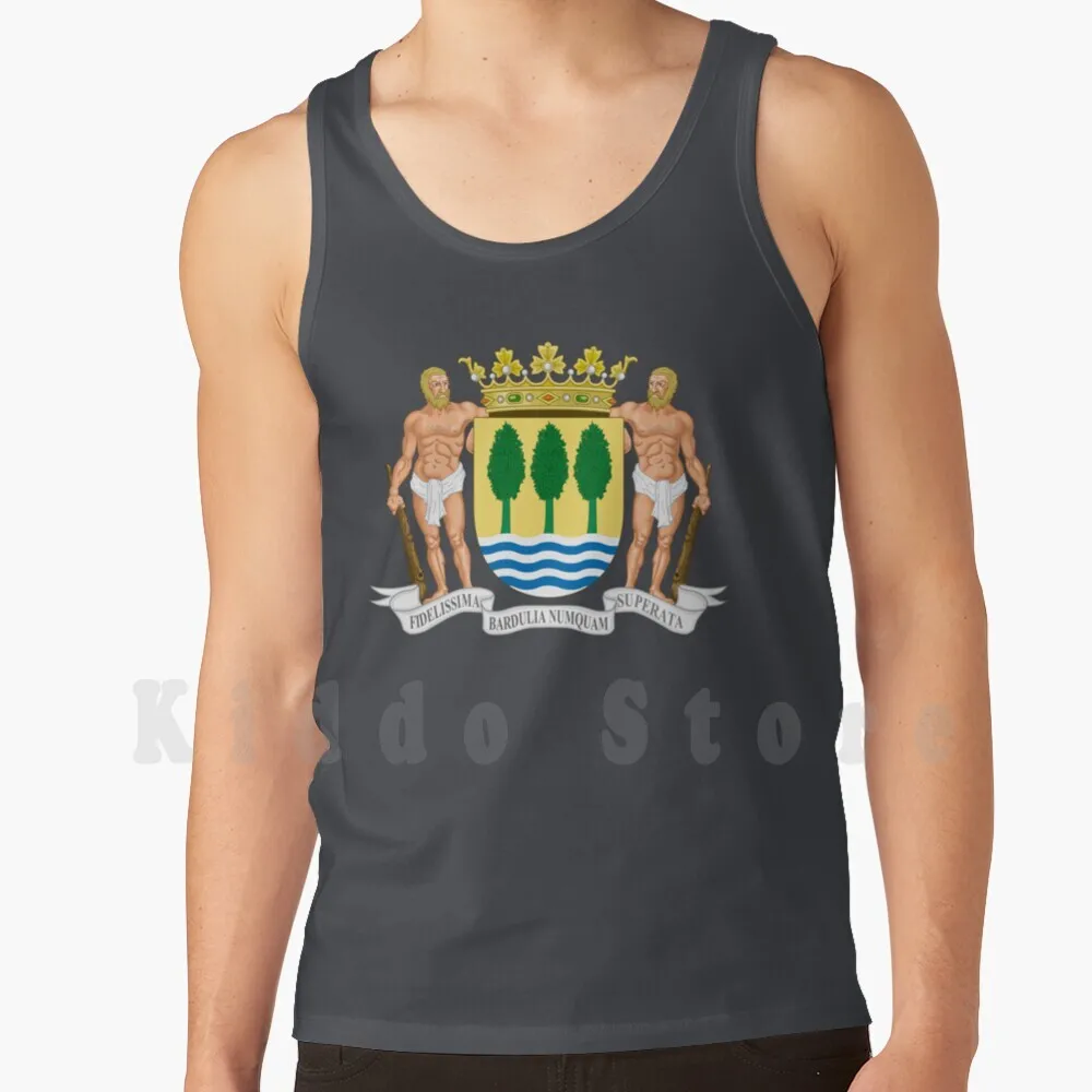 Stemma Di Gipuzkoa Canotte Gilet Senza Maniche Gipuzkoa Gipuzkoa Stemma Euzkadi Euskadi Vasco Basco