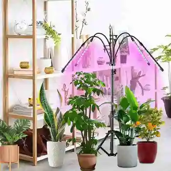 

Plant growth supplement light led full-spectrum indoor plant supplement light tripod type supports RF remote control