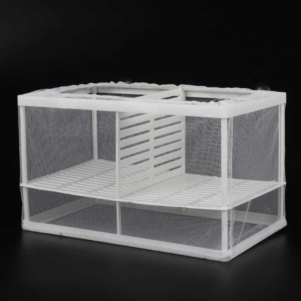 308204_no-logo_308204-1-09-g