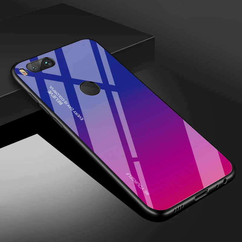 Gradient Tempered Glass case (6)