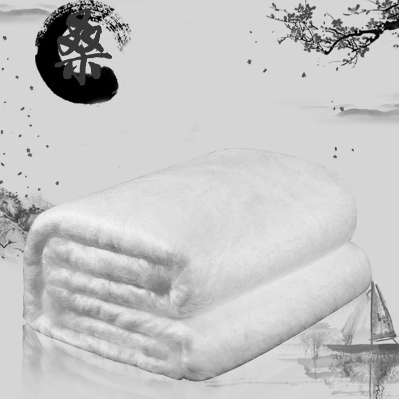 Chinese 100 Natural Silk Quilt Core Manual Silk Quilt King Queen Twin