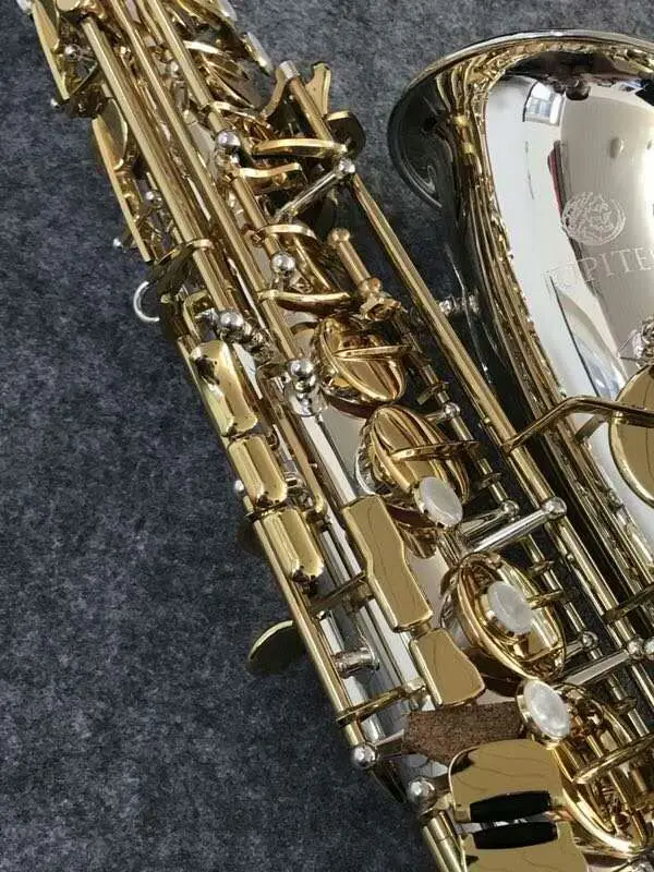 6 (2)