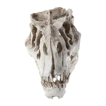 

Tyrannosaurus Dinosaur Skull Resin Crafts Fossil Skeleton Teaching Model Halloween Home Office Decoration