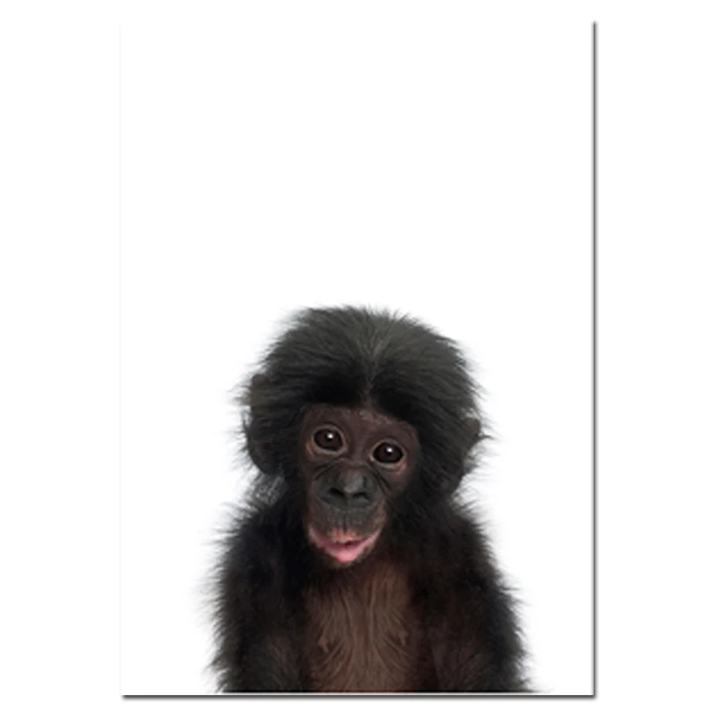 Picture 4 Детская настенная Художественная Картина на холсте с изображением жирафа, африканская картина с принтом животных, скандинавские украшения для детской спальни, изображение акуны Матата - Цвет: Picture 4