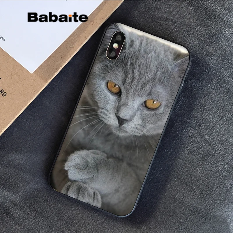 Babaite Британский короткошерстный Кот в продаже окрашенный мягкий чехол для телефона Apple iPhone 8 7 6S Plus X XS MAX 5 5S SE XR