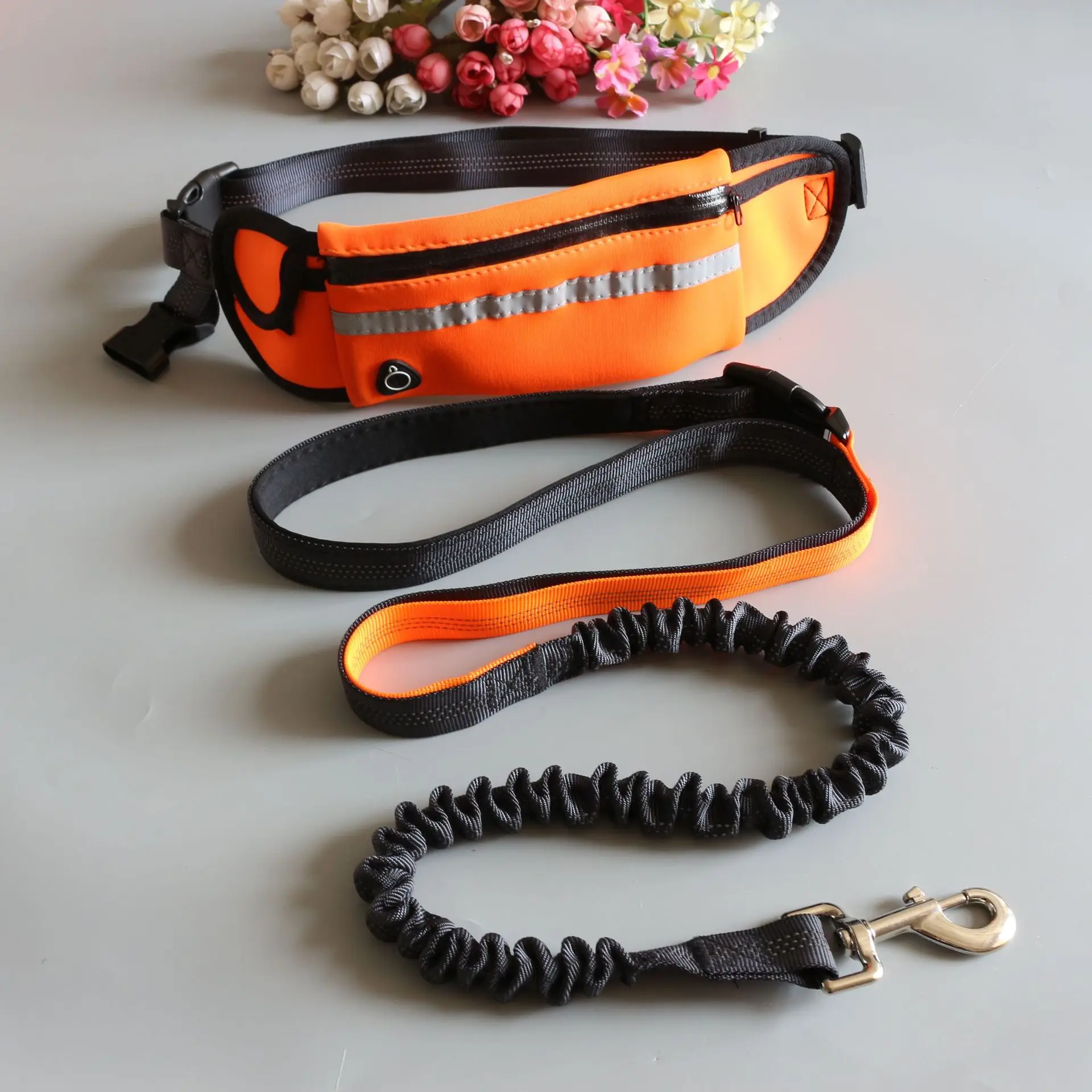 halloween dog collars	 Reflective traction rope traction rope pet dog running belt elastic hands free jogging pull dog traction rope waist traction rop heavy duty dog collars	 Dog Collars