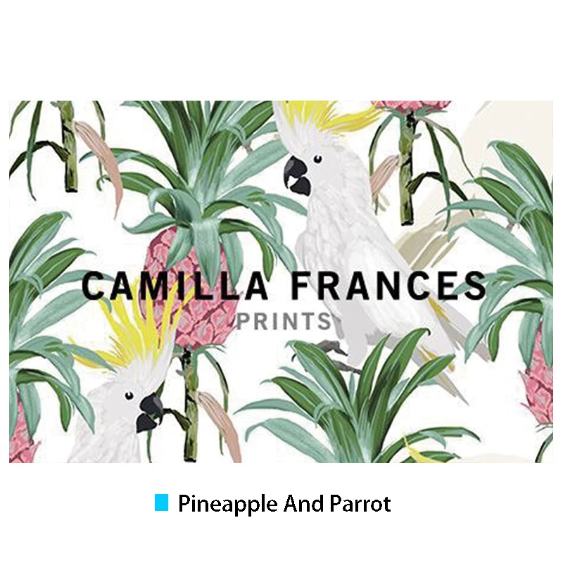 8999024492_112543107