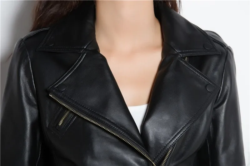 conew_4639362133_1315413409