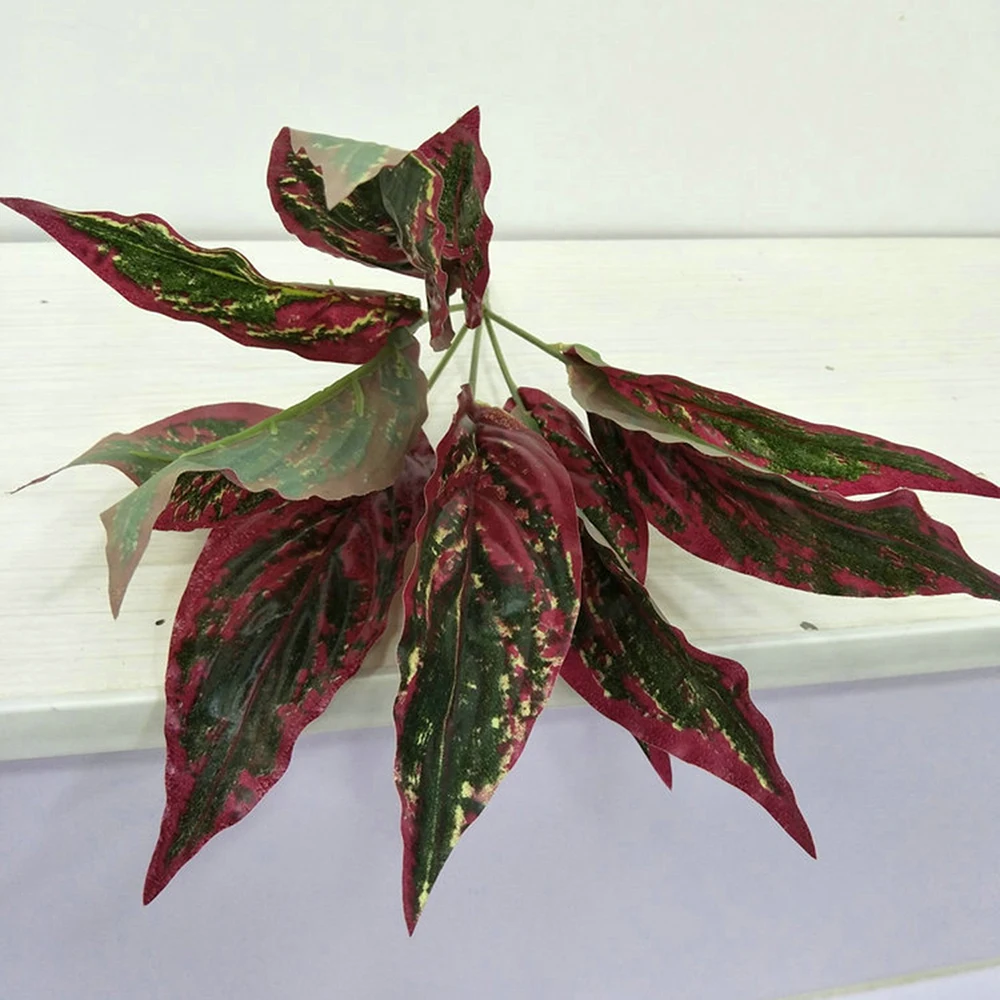 YYPA0080-1-YYPA0080-3-C5