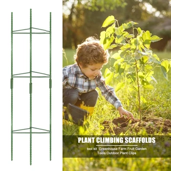 

Vertical Climbing Plant Stake Multi-functional Practical Durable Cage Garden Tomato Vegetable Trellis with 3pcs Clips