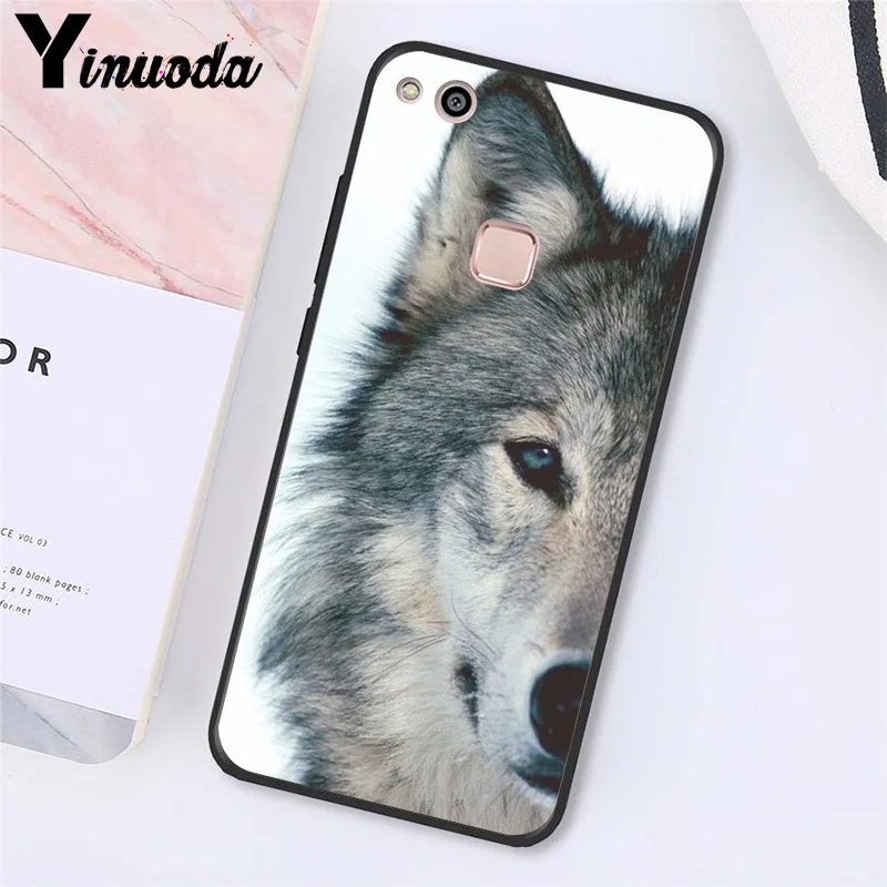 angry Animal wolf Face