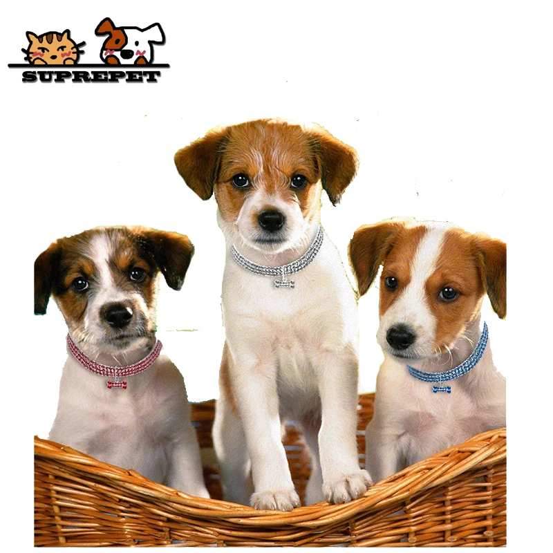 SUPREPET кошка собака котенок Кристалл Алмаз ошейник животное ожерелье яркие кости