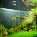 Aquatic Gear Store