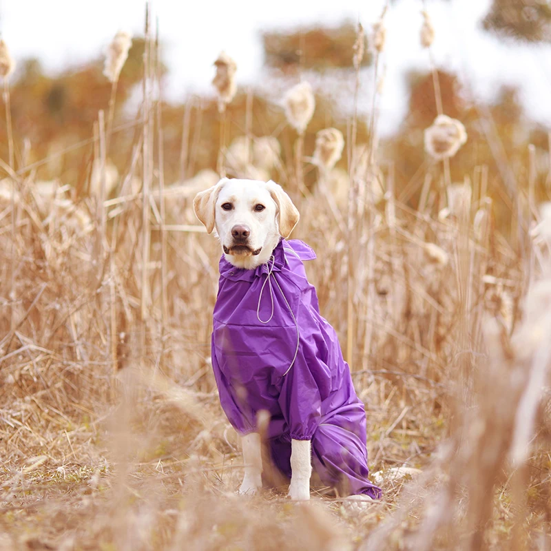 labrador rain jacket