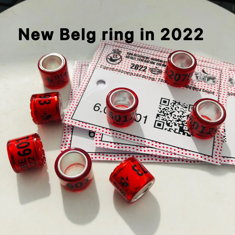 2021 2022 Belg Duivenringen Met Letters Kaarten Vogel Ring 8Mm 50  Stuks|Vogeltraining| - AliExpress