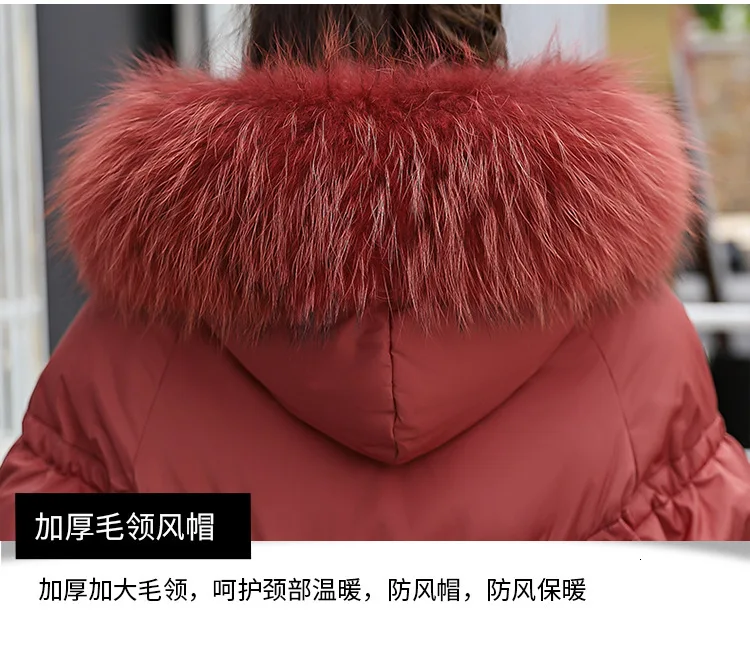 9021819252_1006637240