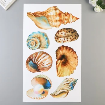 

Stickers Divino "Shells" 30x50 cm 4883757