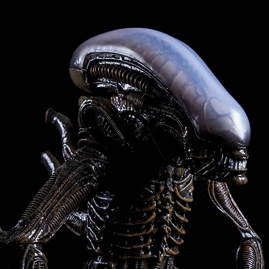 alien isolation xenomorph figure