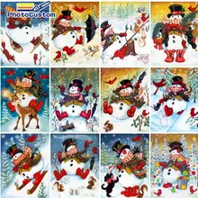 PhotoCustom DIY Pictures By Number Snow Bird Kits painting by numbers On Canvas HandPainted home gift