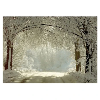 

Hot TTKK 7 x 5ft Winter Backdrops Photography Snow Freeze Forest Background for Studio