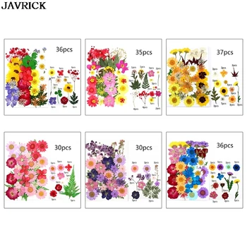 

1 Pack Dried Flowers UV Resin Decorative Natural Flower Stickers 3D Dry Beauty Decal Epoxy Mold DIY Filling Craft Jewelry Making