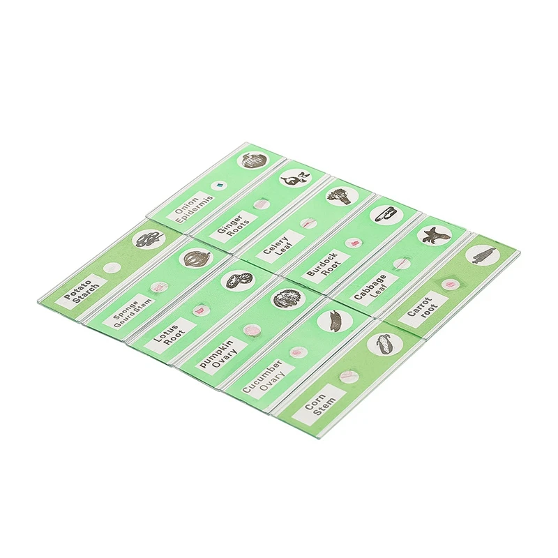 48 шт. детские пластиковые слайды подготовленные для микроскопа животных