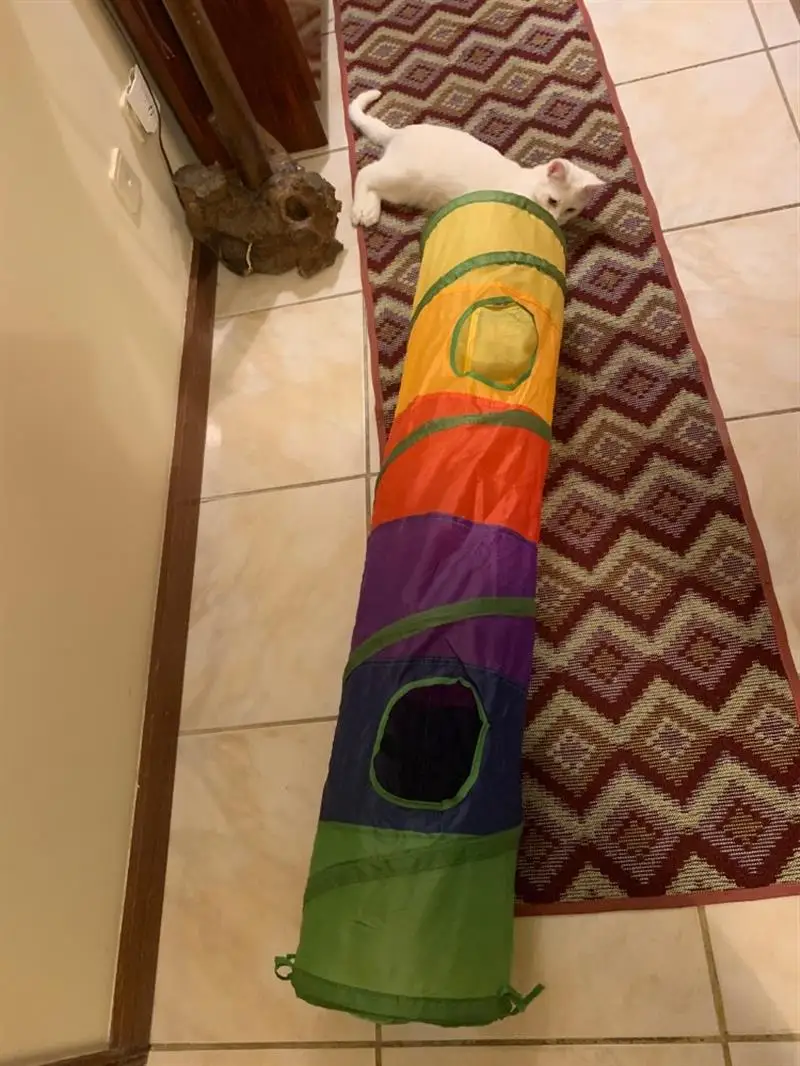 HTB1GFMDOHPpK1RjSZFFq6y5PpXa4