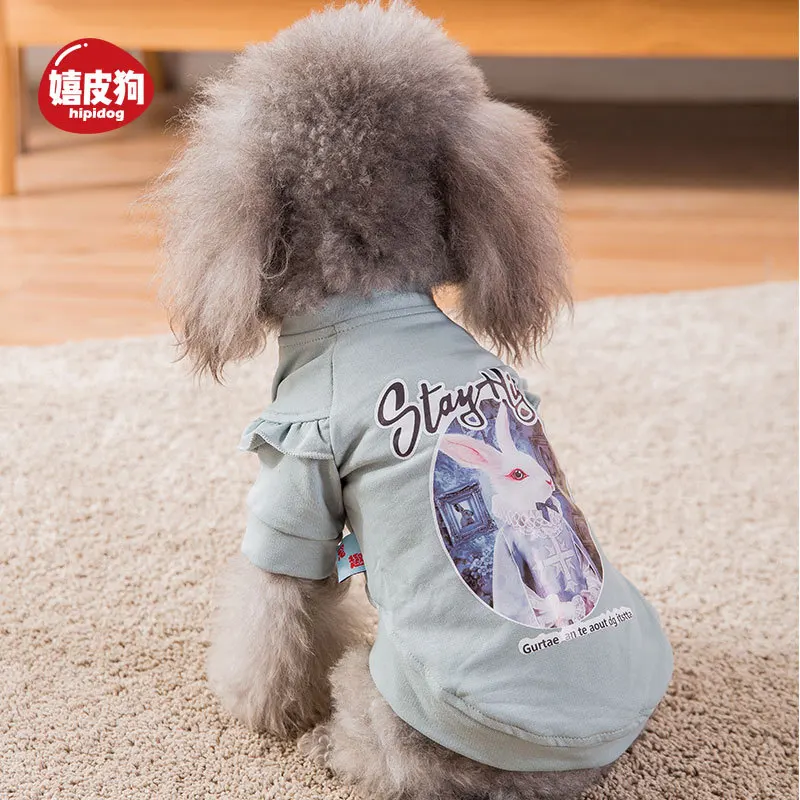 

Dogs Clothes Pets Ropa Para Perro Honden Kleding Vestiti Cane Lace Button Cardigan Two-legged Small Dog Sweater Fashion New 2020