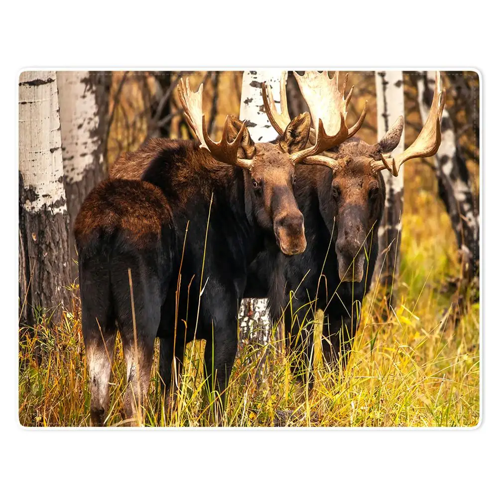 

HommomH Blanket Soft Comfort lightweight well made Nap Sofa Bed Travel Warm Plush Throw Chinese Wild Animal Elk In The Forest