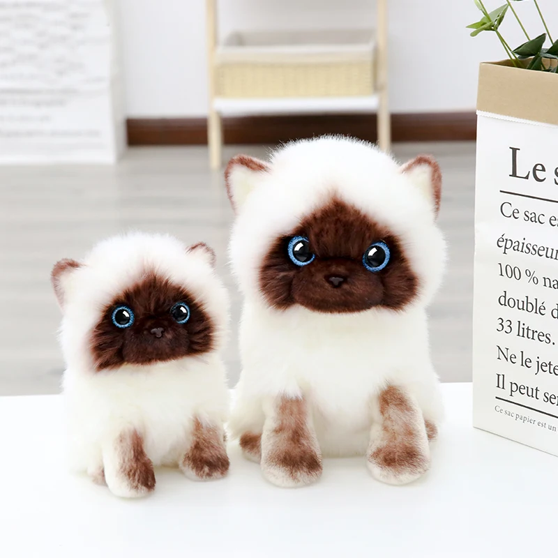  iris siamese cat 猫　ネコ　ぬいぐるみ　動物 jellycat iris siamese cat 猫 ネコ ぬいぐるみ 動物 - メルカリ