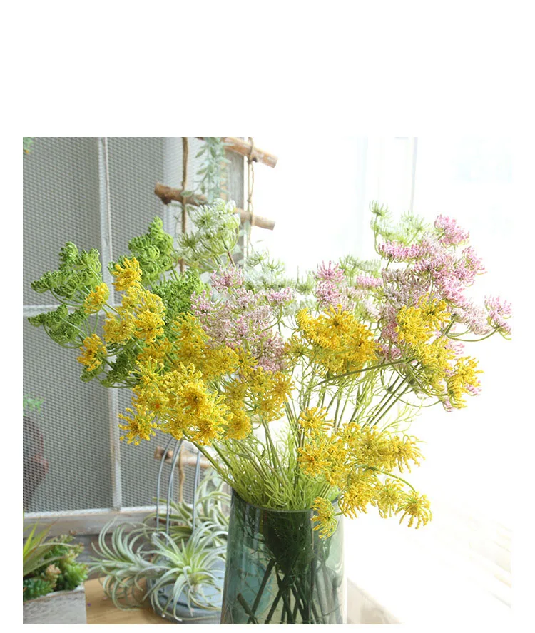 9033326518_1245478559