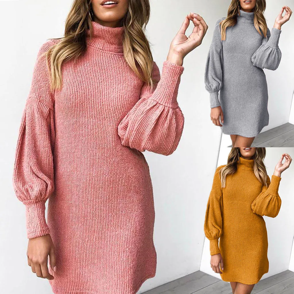 Women Winter Dress High Neck Long 