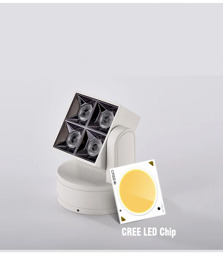 O1CN01W2dpe01FEQp2RKZdt_!!2267580455