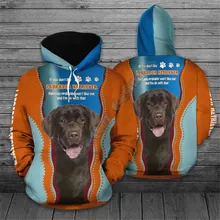 

Labrador Retriever Hoodie 3D Printed Hoodies Fashion Pullover Men For Women Christmas Sweatshirts Sweater Cosplay Costumes 17