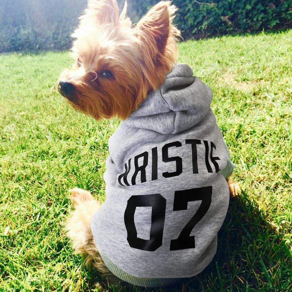 personalized dog clothes