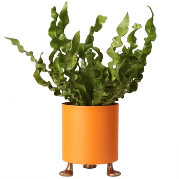 

Northern Europe Ins Office Desktop Metal Originality Small Flowerpot Personality Circular Iron Art Potted Plant