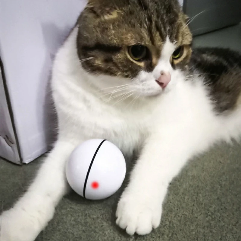 Игрушки для маленьких собак USB электрическая игрушка для домашних животных прыжки мяч водонепроницаемый и может играть в воде Универсальный USB интерфейс Прямая поставка