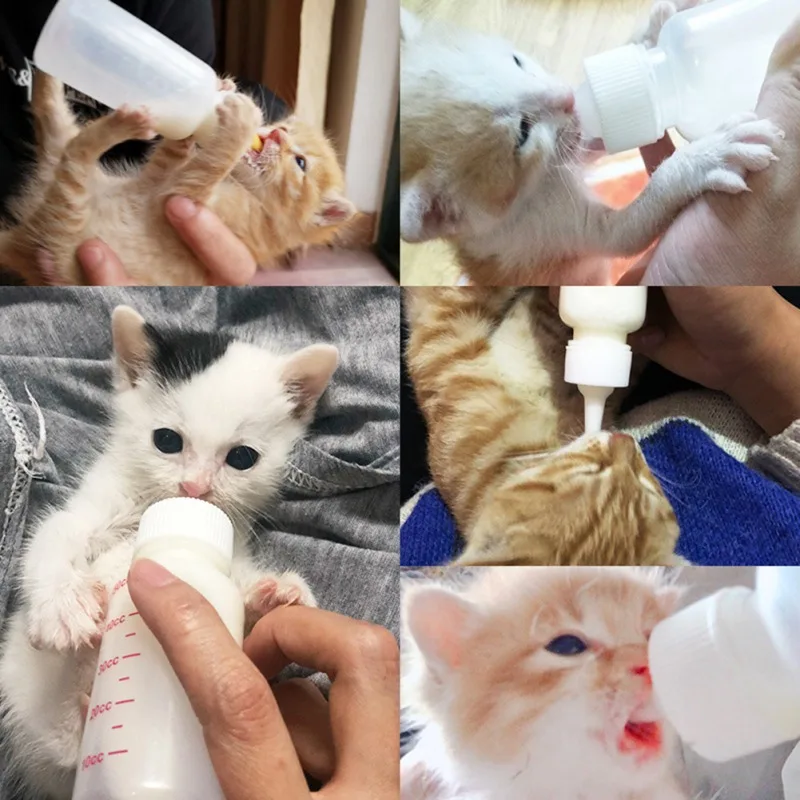 Dog Water Bottle Puppy Kitten Feeding Bottle Set Pet Dog Cat Bady Nursing Water Milk Feeder Newborn
