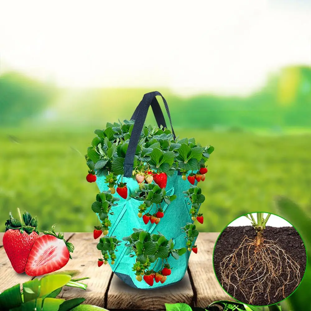 

Garden Seedling Bag Potato strawberry planting growing bag PE fabric Vegetable seedling growing pots DIY Grow Container Bag