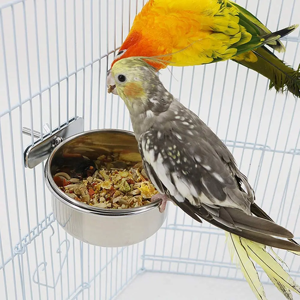 Bird Feeder Parrot Feeder Parrot Feeding Bowl Parrot Feeding Cup Bird Food Dish Stainless Steel Parrot Feeder Water Cage Bowl With Clamp Holder For Cockatiel Budgies Parakeet