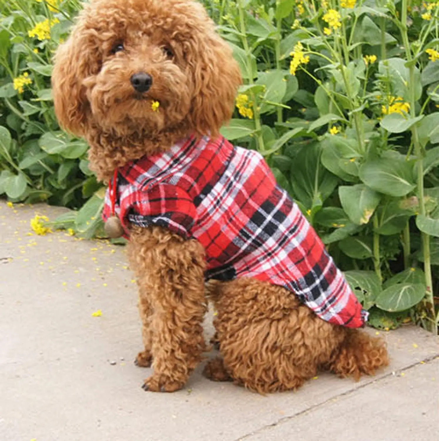 Pet Dog Clothes for Soft Plaid Vest For Small Dogs Chihuahua Cotton Puppy Shirts T shirt Cat Vests | Дом и сад