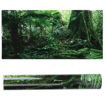 

Aquarium ornaments PVC Reptile Box Rainforest Background Poster Fish Tank Wall Picture Painting Decoration Self Adhesive Tools