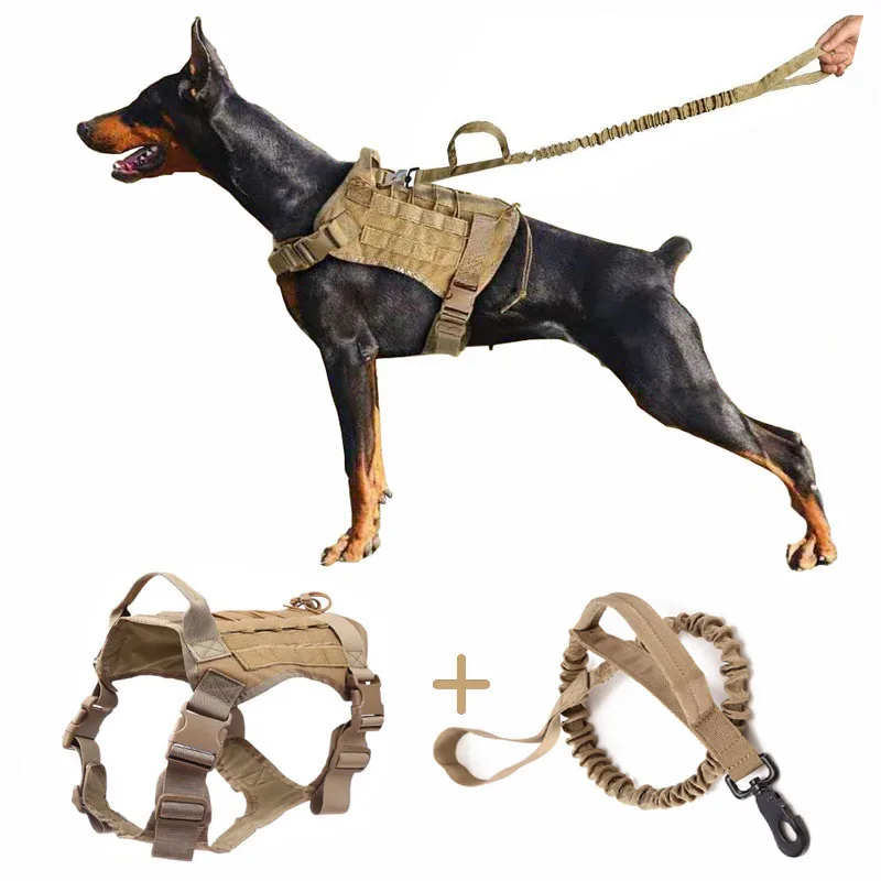 omvatten Ver weg rustig aan Tactische Hond Harnas Sets Voor Grote Militaire Dienst Hond Met Verstelbare  Handgreep Jacht Molle K9 Hond Vest Met Bungee Hond leash - AliExpress Huis  & Tuin