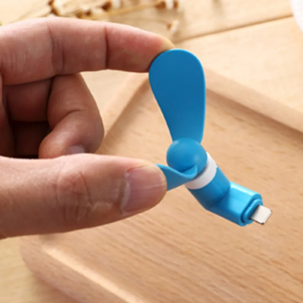 DQ367303-C-20190430-1