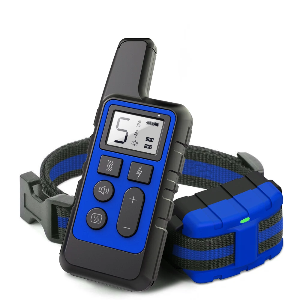 1 dog blue