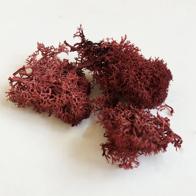 30g Lichen Moss Cluster for Bushes Model Trees Foliage Scale Model Building Material Miniature Tree Model Diy Layout Dioramas 3