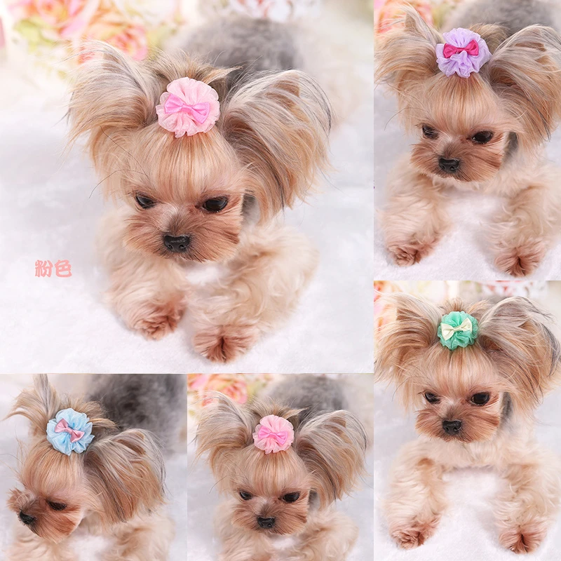 Bubble And Bows Dog Grooming
